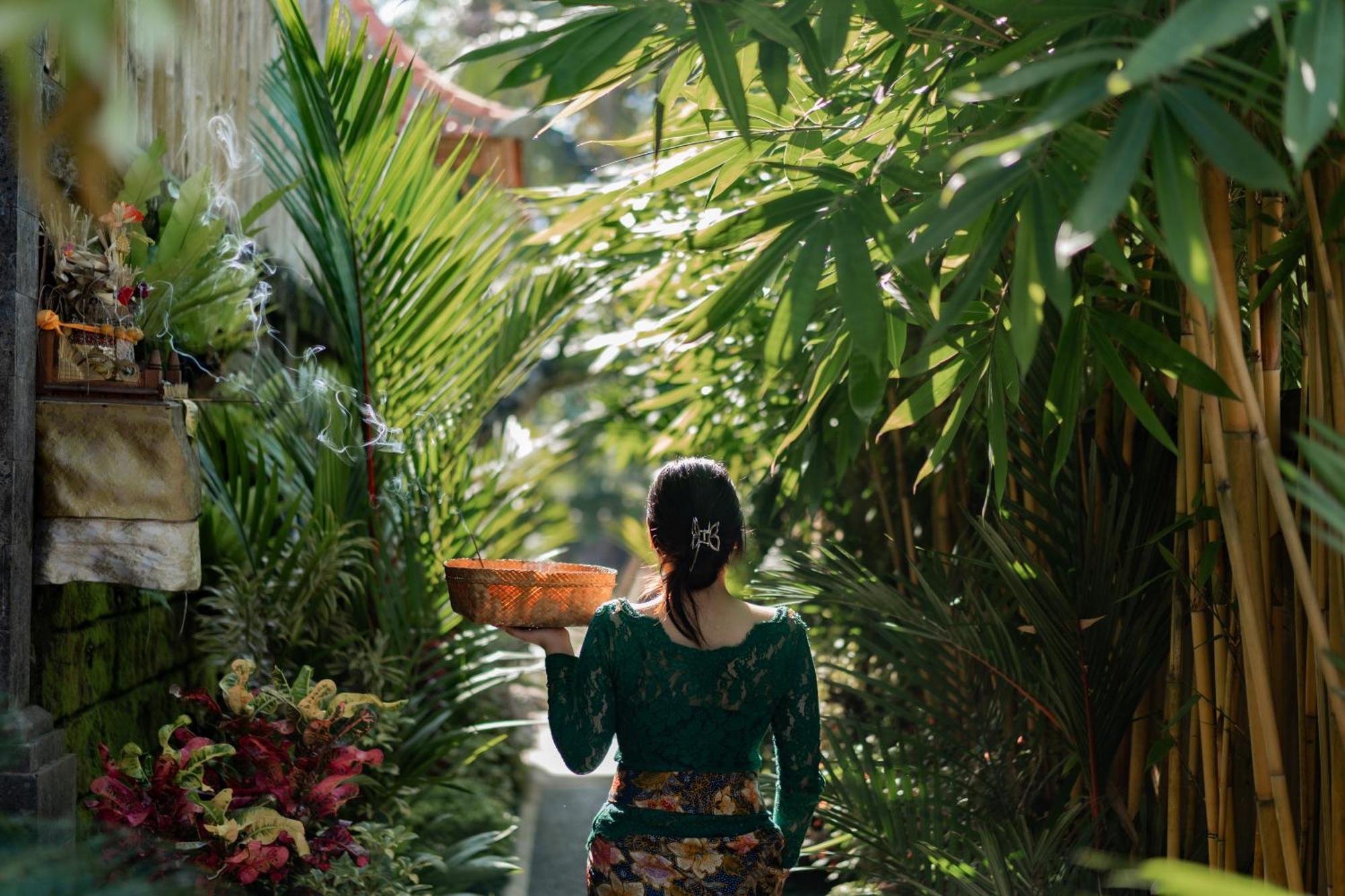 Jaya Villa ウブド エクステリア 写真