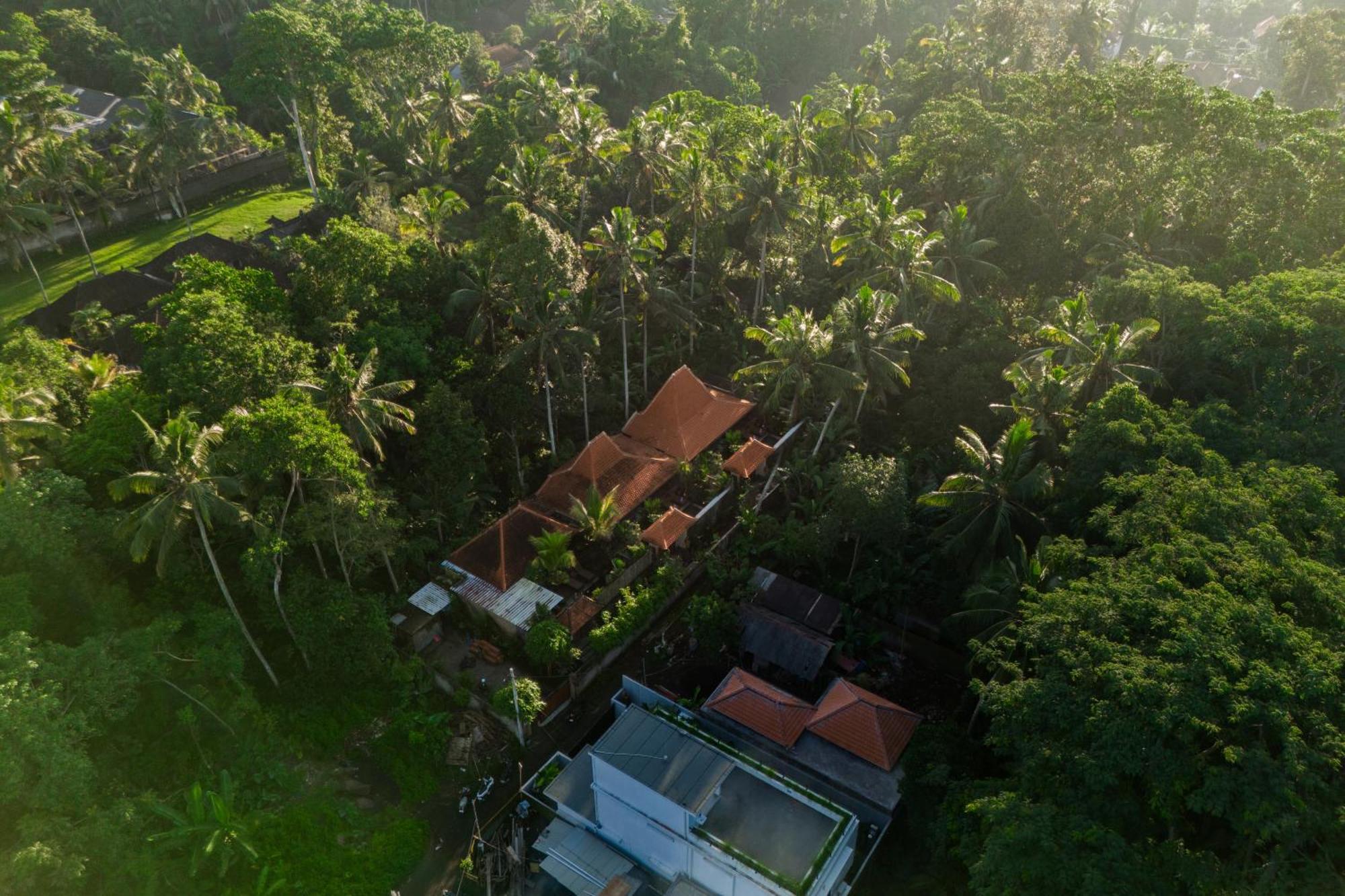 Jaya Villa ウブド エクステリア 写真