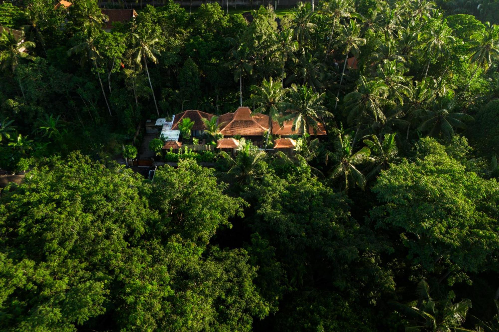 Jaya Villa ウブド エクステリア 写真